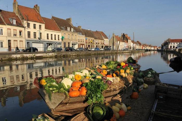 Bel Appart - Rez-De-Chaussee - Hyper Centre Saint-Omer  Luaran gambar